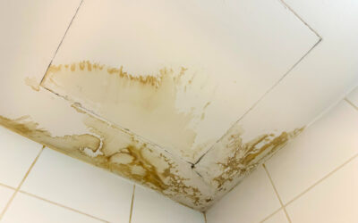 Warning Signs Your Commercial Roof Needs Repair