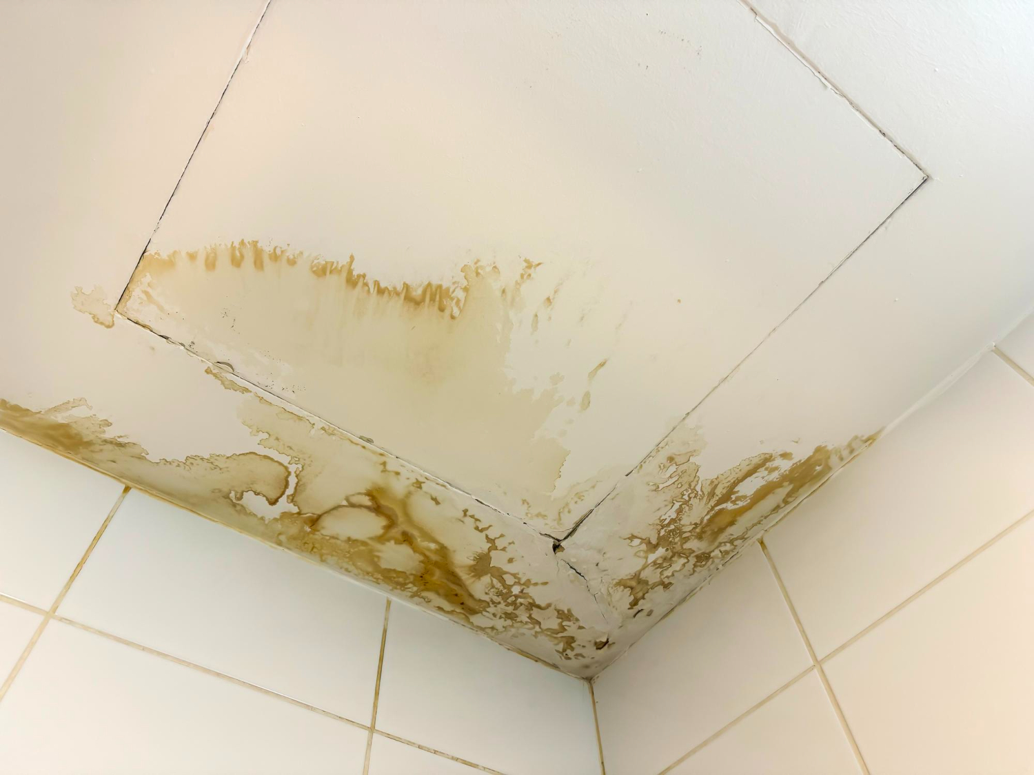 Warning Signs Your Commercial Roof Needs Repair