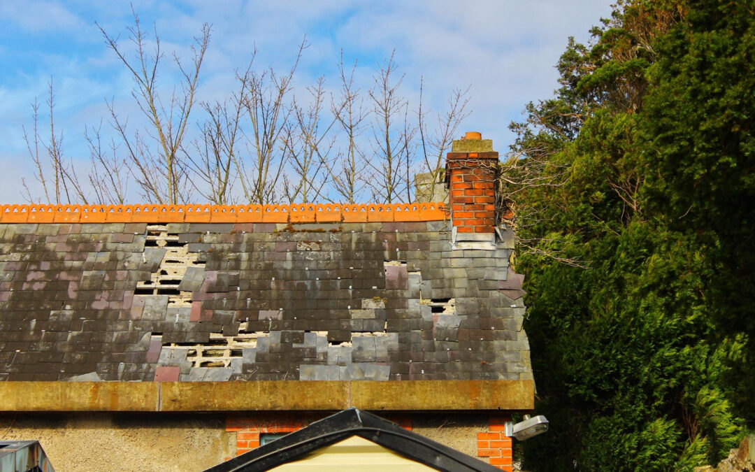 Why Immediate Roof Repairs After Wind Damage Matters