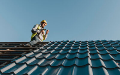 Comparing Asphalt Shingles vs. Metal Roofing