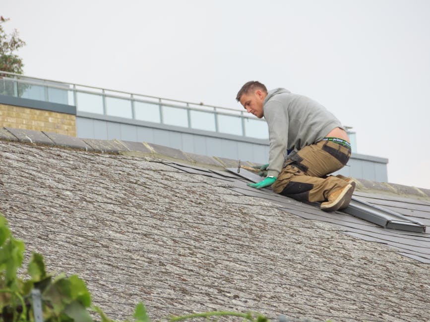 roofing maintenance tips for all seasons
