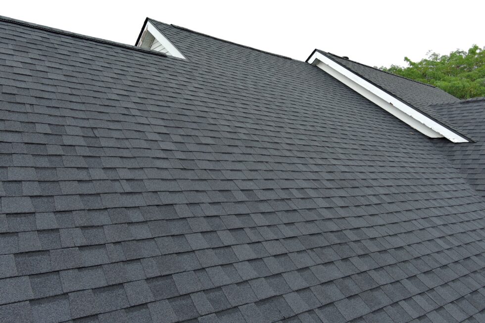 A Marysville Roof Replacement Starts With a Neighbors Recommendation project photo